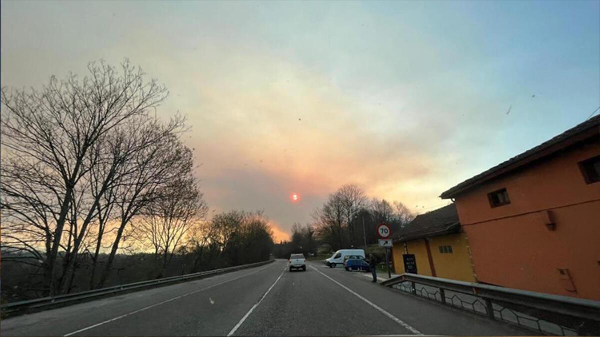 İspanya'nın Asturias bölgesinde 60'tan fazla orman yangını