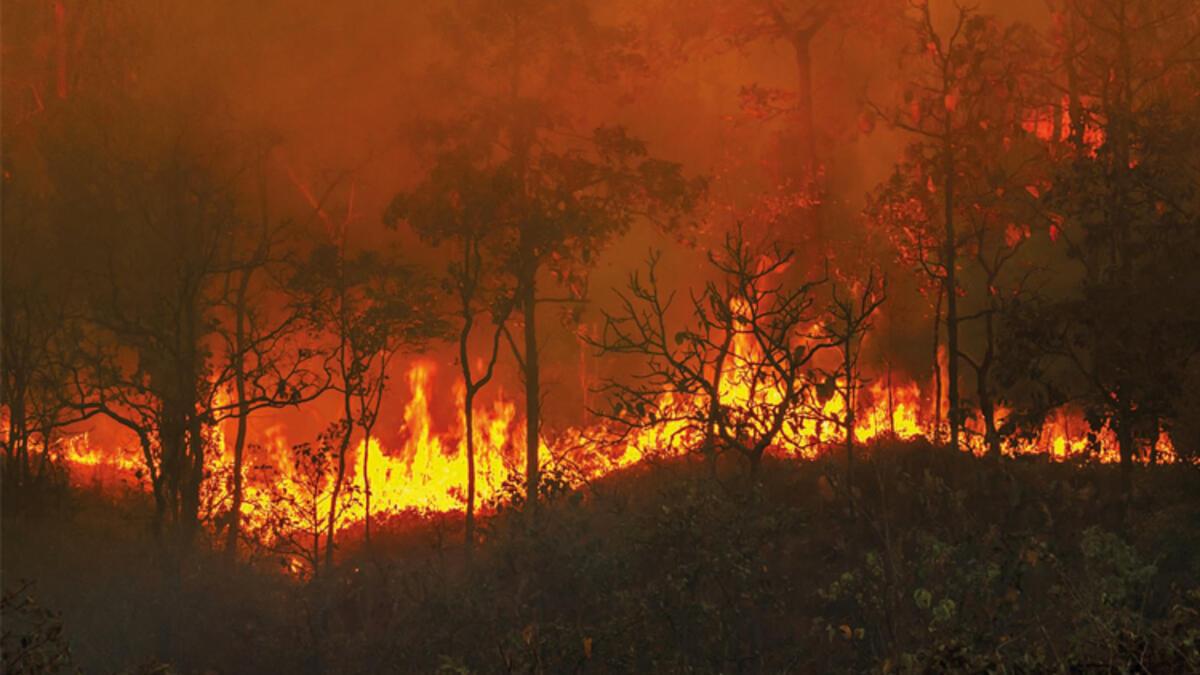 Sel, yangın ve kuraklık üzere afetler büyümeyi aşağı çeker: İktisat ‘iklim’siz kalkınamaz