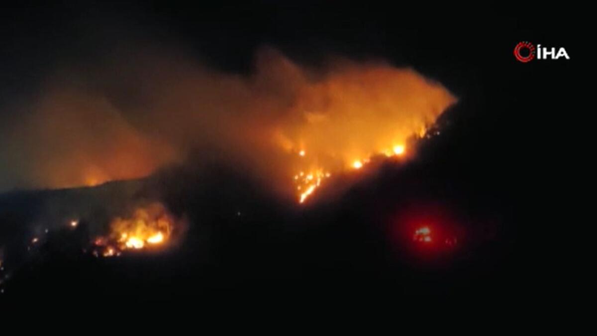 Trabzon'da ormanlık alanda yangın