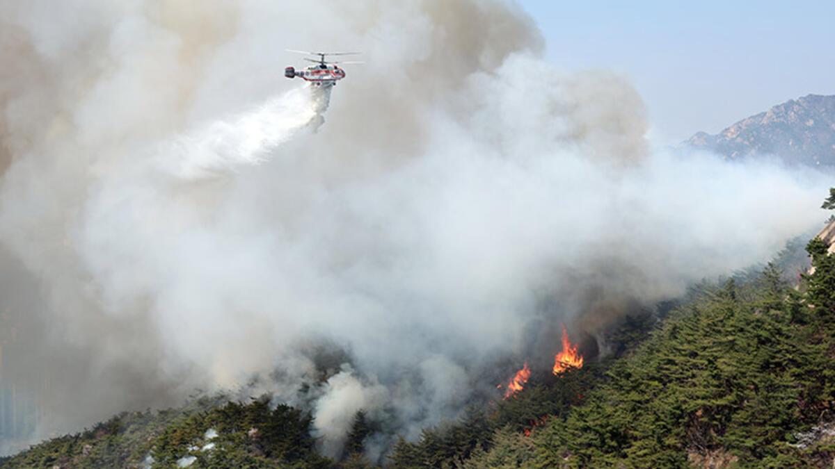 Güney Kore’nin başşehrinde orman yangını: 120 konut tahliye edildi