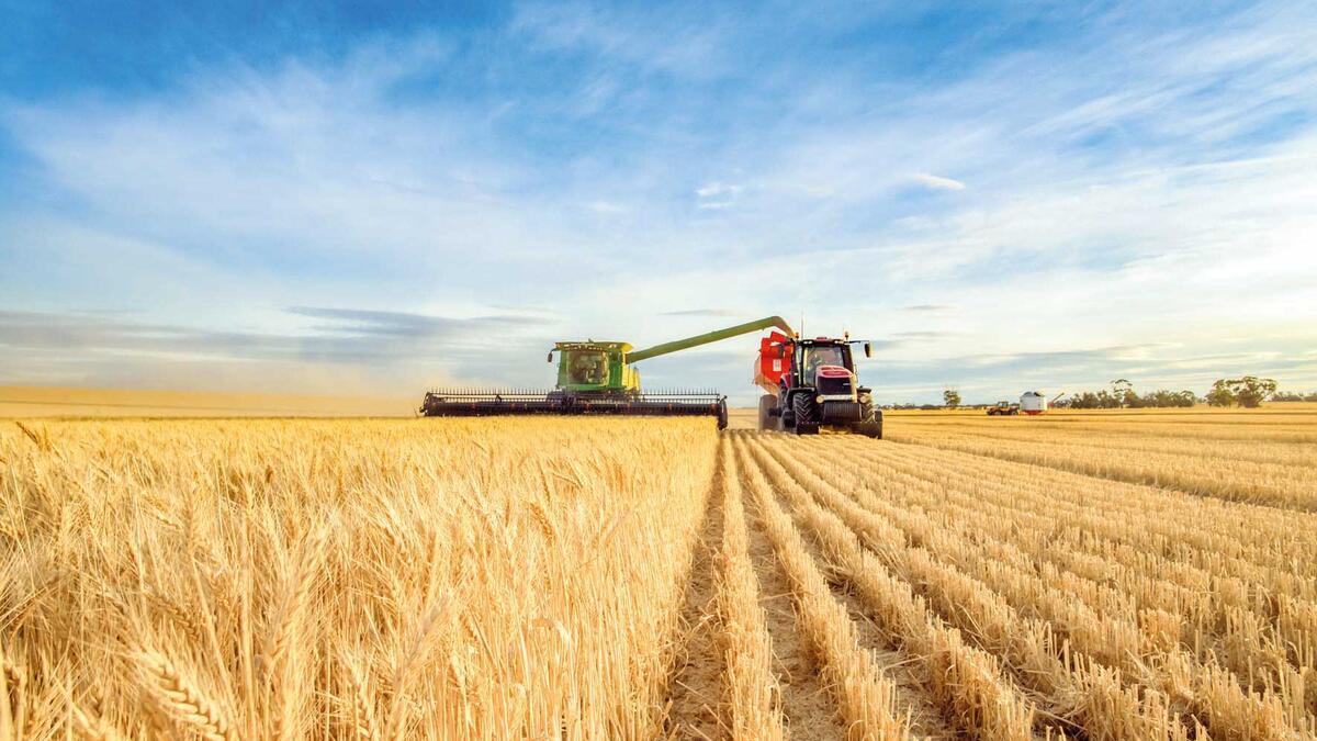 Arpa, buğday, mısırda gümrük vergisi % 130