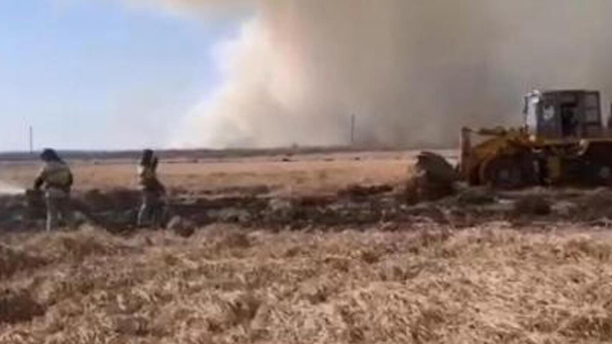 Rusya’da orman yangını sonrası çalı yangını devam ediyor
