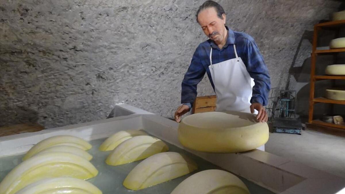 Türkiye'nin birinci ve tek peynir müzesine ağır ilgi