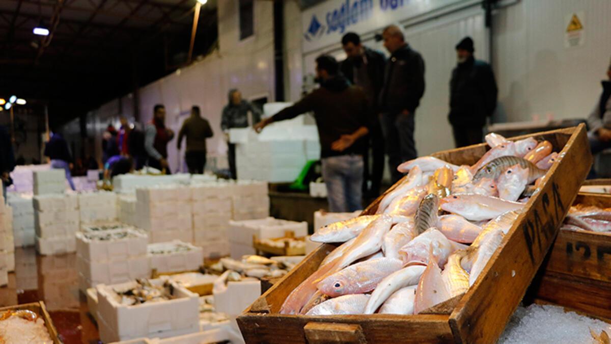 Denizlerde avlanan balık ölçüsü 4 yılda yüzde 32 azaldı