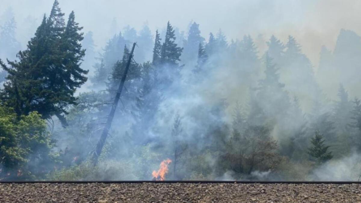ABD’de orman yangını: 10 mesken yandı, 540 dönüm alan küle döndü