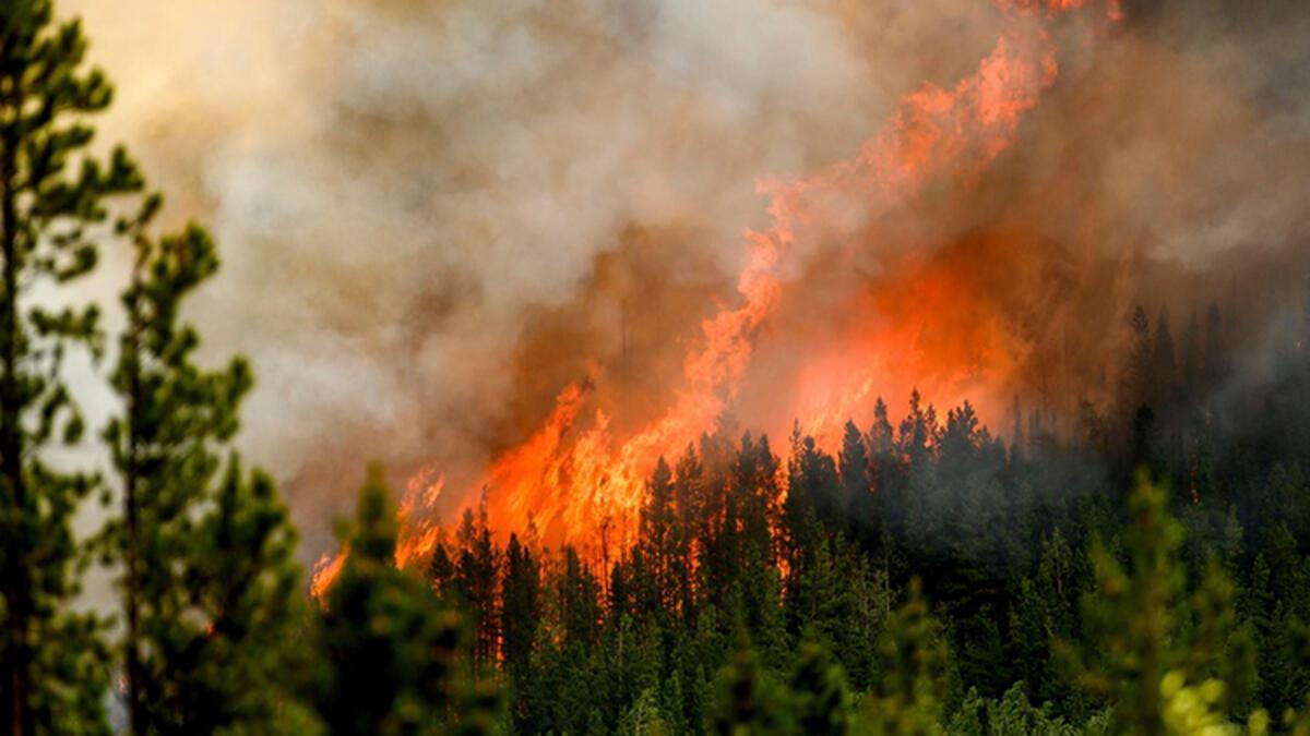 Orman yangınları denetim altına alınamıyor! Kanada alarmda...