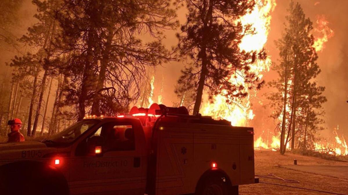 ABD'deki orman yangınlarında can kaybı artıyor