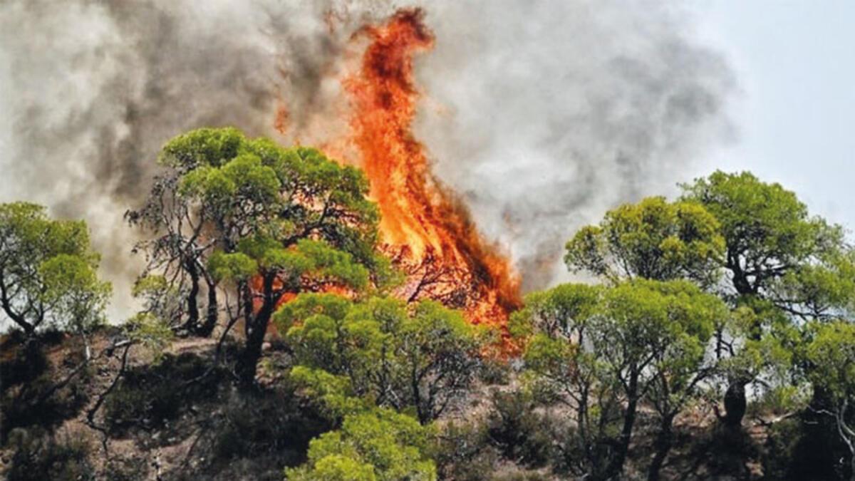 Binlerce kişi tahliye edildi... Rodos’ta yangın durdurulamıyor