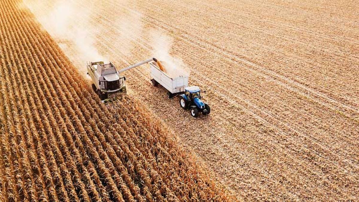 Buğdayda ‘koridor’ tedirginliği! Rusya’nın muahededen çekilmesi hasat devri sonrası fiyatları yükseltebilir