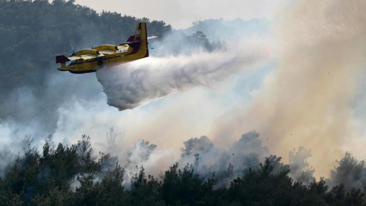 Orman yangınları sonrası Yunanistan'da 140 kişi gözaltına alındı