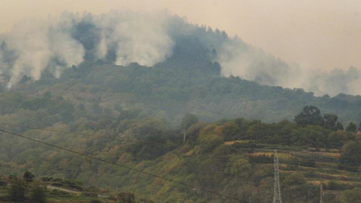 Tenerife Adası’ndaki orman yangını kasıtlı olarak çıkarılmış