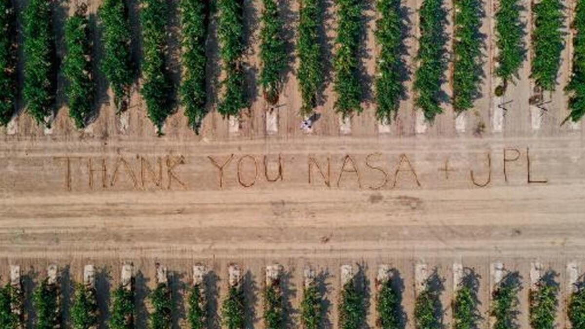 Üzüm bağlarındaki hastalık için NASA devreye girdi