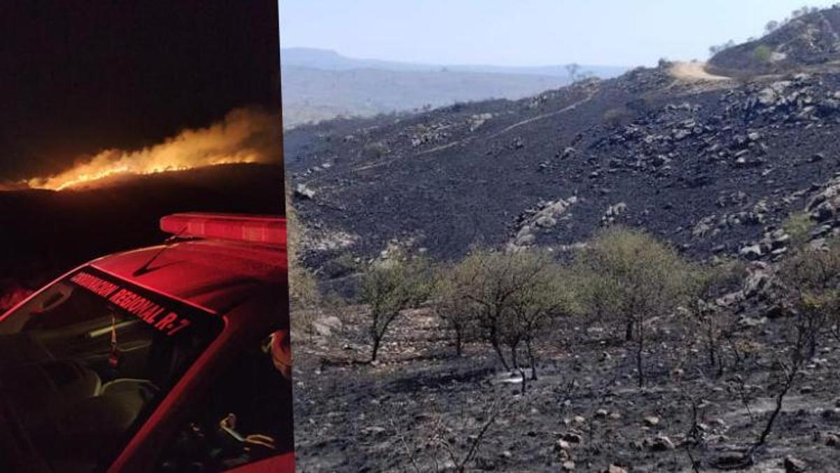 Arjantin’de orman yangını : 600 kişi tahliye edildi