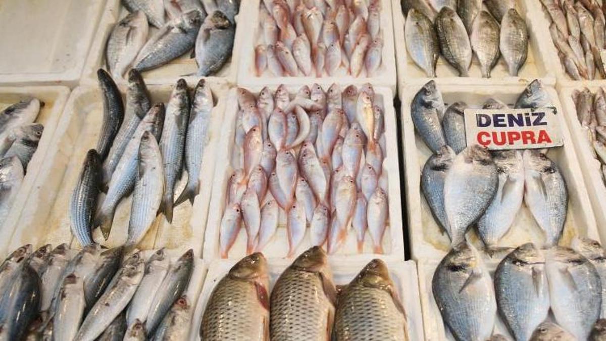 Balık fiyatları taban düzeylere düştü