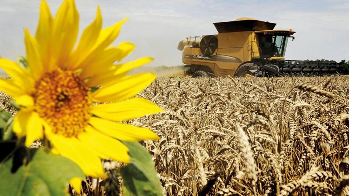 İki yıldır üst üste Rusya’dan tahıl rekoru