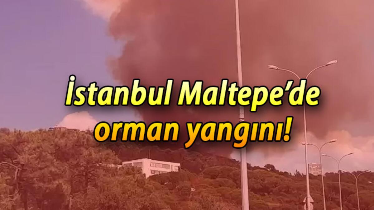 Maltepe orman yangını nerede, hangi ilçeye yakın? İstanbul Maltepe’de son dakika orman yangını!