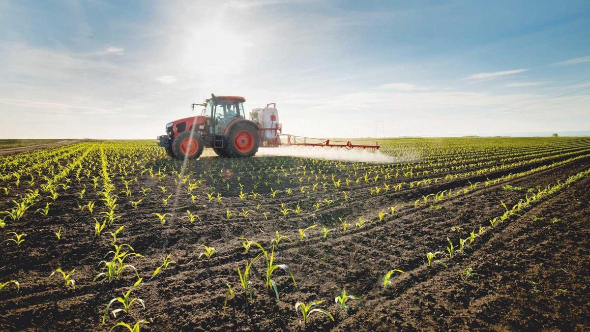 Tarım üretici enflasyonu yıllık 71.96 oldu