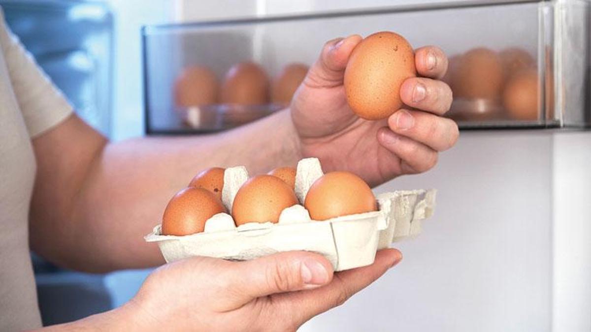 Tarım ve Orman Bakanlığı Hürriyet’e açıkladı: ‘Yumurtalar Türkiye’ye geri gönderilmedi’